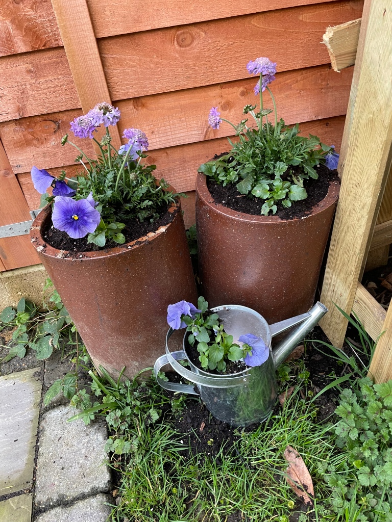 Planted up chimney pots and watering can